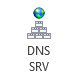 DNS SRV button