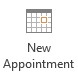 New Appointment button