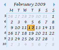 Custom styled Date Navigator in Outlook 2007